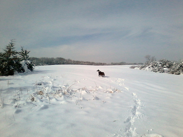 walt hug winter photo